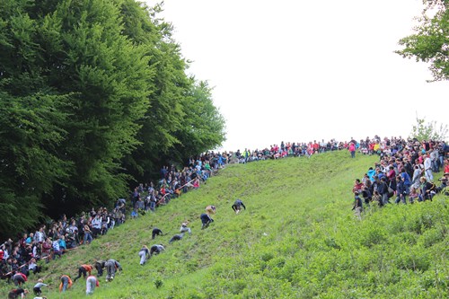Cheese Rolling5