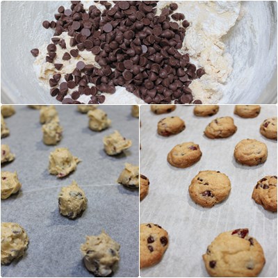 choco chip cookie1